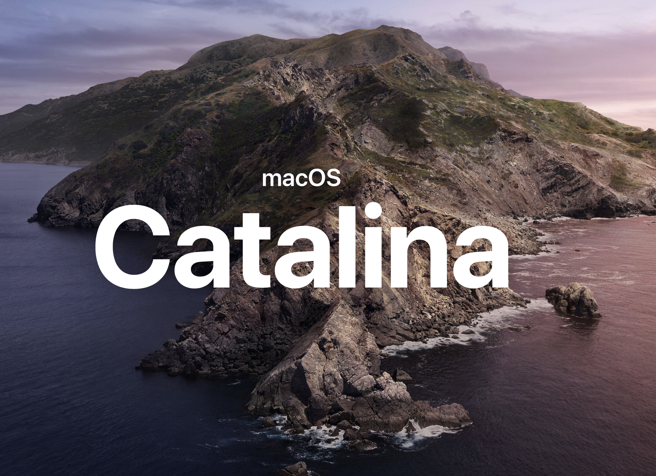 Не запускается safari на mac os catalina